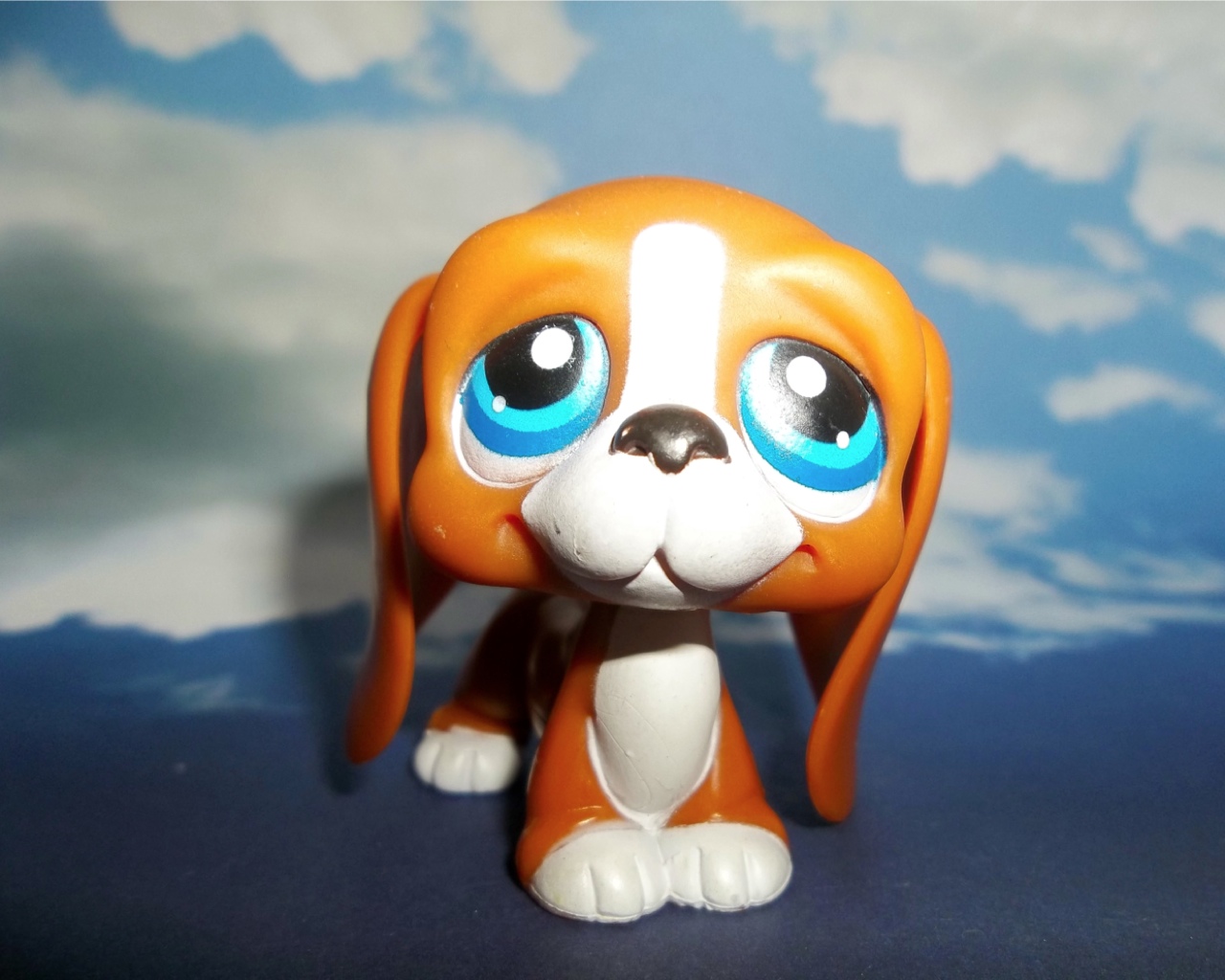 lps dog with long ears
